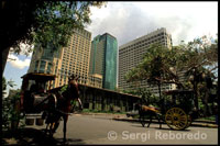 Calesas de caballos esperando a los turistas en las puertas de los grandes hoteles de Malate. Manila.