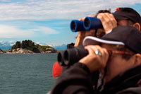 Juneau, Alaska, USA. Passengers with binoculars on cruise ship Safari Endeavour looking a colony of Steller Sea Lions (Eumetopias jubatus) on South Marble Island in Glacier Bay National Park, Alaska. USA. Northern (Steller) sea lions (Eumetopias jubatus), South Marble Island, Glacier Bay National Park, Southeastern Alaska. South Marble Island is a small protrusion within the main channel of Glacier Bay as one sails from the Visitors Center up towards the major glaciers. It would be unremarkable except that it houses a notable and important colony for the pigeon guillemot (Cepphus columba), a north pacific seabird. 