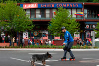 Juneau, Alaska, USA. Downtown. Skating with a dog in the streets of Juneau. S Franklin street. Alaska Shirt Company. Alaska, USA.  The City and Borough of Juneau is the capital city of Alaska. It is a unified municipality located on the Gastineau Channel in the Alaskan panhandle, and is the second largest city in the United States by area. Juneau has been the capital of Alaska since 1906, when the government of what was then the District of Alaska was moved from Sitka as dictated by the U.S. Congress in 1900. The municipality unified on July 1, 1970, when the city of Juneau merged with the city of Douglas and the surrounding Greater Juneau Borough to form the current home rule municipality.