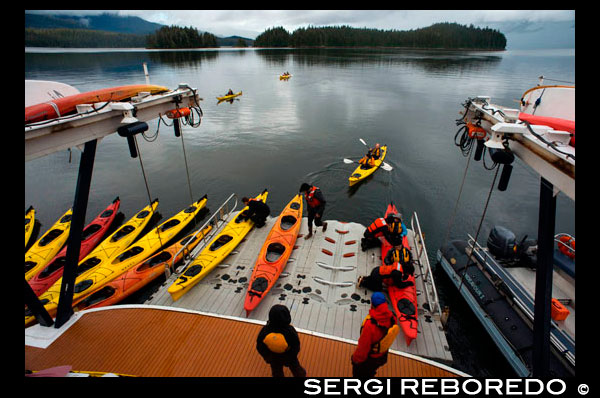 People getting into sea kayaks on loading dock cruise ship Safari Endeavour near Reid Glacier in Glacier Bay National Park. Enjoy an evening at anchor, and mornings spent paddling your kayak in the quiet of this majestic wilderness. Here in the bay are puffins and sea lions, mountain goats and bears, moose, eagles, and scenery more spectacular than any place on earth. Glacier Bay is at its best when explored by small groups with unfettered time for treks and kayaking inside the bay and wilderness areas. Your second day is spent exploring the glaciers and wildlife of the National Park.