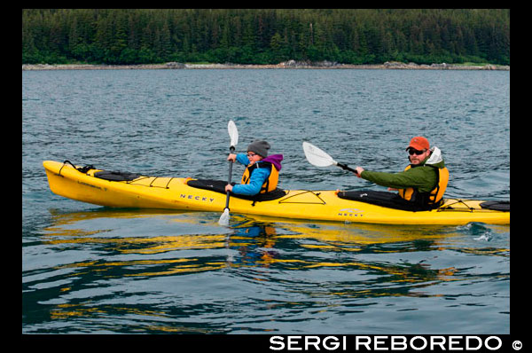 Kayaking in Icy Strait. Glacier Bay National Park adn Preserve. Chichagof Island. Juneau. Southeast Alaska. Today is the ultimate day of exploration. Set your course for arguably the richest whale waters in Southeast Alaska. Keep watch for the telltale blow of the humpbacks as you scour the nutrient-rich waters in search of whales, porpoise, sea lions, and other wildlife. Join the Captain on the bridge or go on deck with your Expedition Leader. Late afternoon, drop the skiffs and kayaks for closer inspection of the remote coastline with eyes set on shore for possible bear sightings. This evening, take in the solitude while relaxing in the upper deck hot tub or enjoy a nightcap with your fellow yachtmates in the saloon.