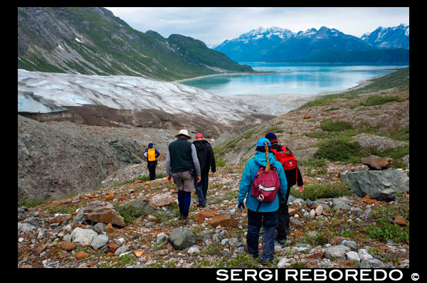 Caminata en Reid glaciar - Parque Nacional Glacier Bay, Alaska. EE.UU.. Los patrones de hielo y nieve en el glaciar de Reid en el Parque Nacional Glacier Bay, Alaska. Reid glaciar es un glaciar de 11 millas de largo (18 km) en el estado estadounidense de Alaska. Tendencias hacia el norte a Reid entrada en el Parque Nacional y Reserva Glacier Bay, dos millas (3 km) al sur de la Bahía de los Glaciares y 72 millas (116 km) al noroeste de Hoonah. Fue nombrado por los miembros de la Expedición Harriman Alaska para Harry Reid Fielding.