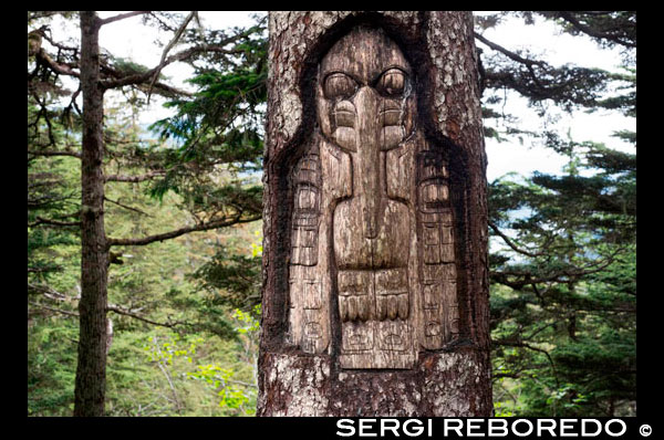 Sign, The Raven clan territory, tree carving, Tlingit Indians, Juneau, Southeast Alaska. Mount Roberts. Trekking from the Mt Roberts Tramway, Juneau. Alaska. The top terminal of the tram is located on a tower and offers spectacular views of the City of Juneau and the Gastineau Channel, Douglas Island and the community of Douglas to the west, the Chilkat Mountain Range to the north, and Kupreanof Island to the South. The terminal platform is joined to the ridge of Mount Roberts by the Skybridge which leads to the summit facilities. The main building includes the Timberline Bar & Grill, the Chilkat Theater showing an informative film of the local Alaska Natives, and Raven Eagle Gifts. Located at the main building is the Stephen Jackson totem pole, a modern rendition of traditional Native themes. The Juneau Raptor Center operates a bald eagle display at the summit, which provides a recovery center for injured eagles and educational programs for tram visitors. Visitors can also enter the Nature Center which offers guided hiking adventures and books and maps on local recreation. Several hiking trails of varying degrees of difficulty (including wheel-chair accessible paths) have been laid out leading from the summit facilities. Many of these feature spectacular views from the Mount Roberts ridgeline, and some wind through the forest trees and meadows with wild flowers and animals. The forest paths feature trees with totemic carvings depicting Native legends. Interpretive markers describing many of the flowers, plants, trees, birds and animals are placed along the loop trail for self-guided walks.