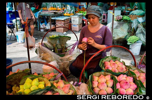 Mujer vendedora de flores de loto en Pak Khlong Talat, Mercado de las flores, Bangkok, Tailandia. Pak Khlong Talat es un mercado en Bangkok, Tailandia, que vende flores, frutas y verduras. Es el mercado de flores primaria en Bangkok y ha sido citado como un "lugar de [] de valores simbólicos" a los residentes de Bangkok. Está situado en Chak Phet Road y callejuelas adyacentes, cerca de Memorial Bridge. Aunque el mercado está abierto las 24 horas, es más activo antes del amanecer, cuando los barcos y los camiones llegan con las flores de las provincias cercanas. El mercado tiene una larga historia. Durante el reinado de Rama I (1782-1809), un mercado flotante tuvo lugar en el sitio de la moderna Pak Khlong Talat; por el reinado de Rama V (1868-1910), que había cambiado a un mercado de pescado. El mercado de pescado se convirtió posteriormente al mercado de productos de hoy, que ha existido durante más de 60 años. El enfoque del mercado ha cambiado a partir de productos de flores como el mercado Talat tailandesa en las afueras de Bangkok se ha convertido en un lugar más atractivo para los productos mayoristas. La mayoría de las flores que se venden en el mercado son entregados de Nakhon Pathom, Samut Sakhon, y las provincias de Samut Songkhram, aunque las flores que requieren temperaturas más frescas que crecen pueden venir de lugares tan lejanos como Chiang Mai o Chiang Rai. Selección del producto del mercado es muy amplia y se entrega de todo el país.