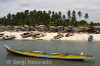 Boats used by the inhabitants of the island of Mabul for fishing. This island attract thousands of divers each year to be considered one of the most privileged of the world for its diversity of seafloor.