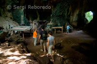 Interior Gomantong caves. Borneo. Eastern Sabah. Torrent and Laura Santi Molins.