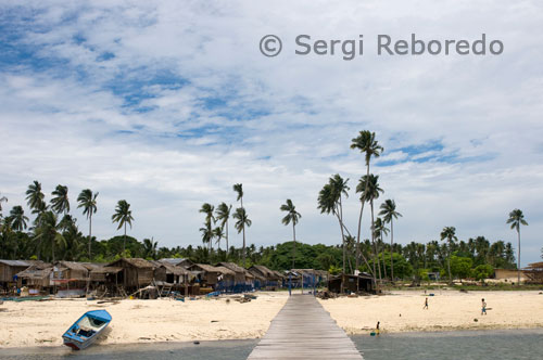 Poblat gitano a l'illa de Mabul propera a la illa de Sipadan. L'illa de SIDAP va ser declarada parc natural i les seves platges són el lloc de posta d'ous de les tortugues verdes. Les immersions en SIDAP són conegudes per les seves parets verticals i per la seva abundant fauna pelàgica. L'illa de SIDAP es troba al nord-est de Borneo al Mar de Cèlebes. És una illa oceànica, que emergeix de 600 m. de profunditat. En algunes de les zones de busseig de Sipadan l'escull descendeix gradualment a 20 m. de profunditat fins que comença el penya-segat. En aquestes parets plenes de coves, grutes i gorgònies es troba tota la fauna pelàgica: bancs de barracudes, mantes, taurons de punta blanca, grisos, taurons martell, bancs de peixos papagai búfal, tortugues verdes, tortugues carei, etc. Però no només la fauna palágica atrau bussejadors de tot en món.En una sola immersió es poden identificar diferents espècies de nudibranquis, peixos fulla, gambes, peixos falcó, diferents espècies de peixos pallasso morenes cinta, etc. El creuer a bord del "Celebes Explorer"és el primer que combina immersions a les illes de Mabul, Kapalai i Siamil amb immersions a l'illa de Sipadan. A més és l'únic creuer que ofereix immersions en illes i esculls que fins ara estaven tancades al bussejador, com ara Siamil (amb increïbles jardins de corals tous). Les immersions a bord són il limitades.