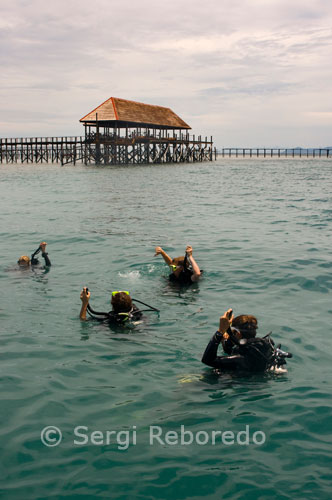 Several divers begin a dip in the vicinity of the island of Mabul, the House Reef. This dive site is directly across from the resort Mabul Water Bungalows, and is accessible from your own pier or boat, if it is housed in another facility. At first glance it seems a point of no great interest, with a sandy bottom and a regular visibility, but within seconds of being immersed we realize that this immersion is the best in Mabul, but at the same time the most peculiar we can perform. Already under the pier will see many juvenile batfish, scrawled file fish, lionfish, crocodile fish and boxfish. As we gain depth, silhouetted strange to us, are huge wooden structures, similar to scaffolding, 10 meters high. Above them there is such a concentration of life that will surprise the more experienced diver, it is easy to get lost among the thousands of Carangidae, barely let us see what is behind them, the beams of the structures are located large toadfish, and with these groupers, sweet lips and crossbows. At night the large sandy areas interspersed with coral offer unique opportunities for macro photography.