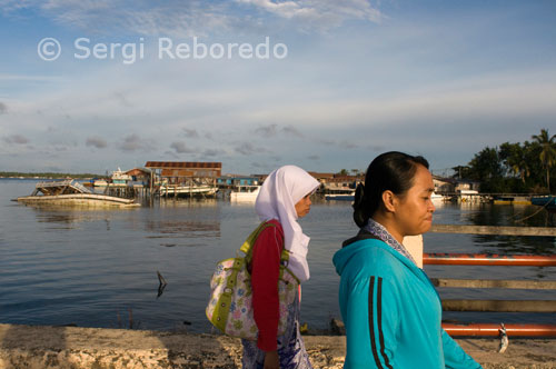 Two local women walk along the pier of Semporna. SLA Sipadan: Sipadan Island is the only oceanic island in the Malay Archipelago. Has a unique landscape as it does not share the usual way from the beaches of the archipelago, but is, as the figure suggests, a fungus protruding from the water. The island can accommodate only 160 people, but since early this year is absolutely forbidden to stay in it. It is only allowed at the moment, diving. However, in 15 or 20 minutes, you can get from the islands of Mabul and Kapalai are famous for their huts and bungalows. Sipadan Island was declared a natural park because of the richness of its collection since its beaches are the place for laying eggs of green turtles. Diving in Sipadan is known for its vertical walls. In some areas, dive the reef descends gradually to 20 m. starting depth to the cliff. In these walls full of caves and sea fans are all kinds of pelagic fauna: schools of barracuda, blankets, white tip sharks, gray, hammerhead sharks, schools of parrot fish, buffalo, mandarin, green turtles, hawksbill turtles, etc. . But not only the pelagic fauna attracts divers from around the world. In a single dive can identify different species of nudibranchs, leaf fish, prawns, fish hawk, several species of clownfish, moray tape, etc.