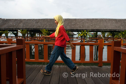 A teenage girl walking on the catwalks of Hotel Dragon Inn in Semporna, a place full of diving agencies, such as sQuba Junkie. Chang Oncle is illegal and is not recommended. Sipadan is well known: the walls with huge schools of barracuda and jacks, turtles and white tip sharks and occasional dull moment blankets and hammers. It is expensive (about 150 euros a day with 3 dives) but it's worth. Some operators (Chang, among others) are not recommended by the material in poor condition and the passivity of their dive masters. Borneo Divers Scuba Junkie and are the best, but often have reservations Sipadan busy for months. Mabul, the island next door, is a great alternative or supplement. Diving is a lot cheaper (50 euros for two dives, including equipment) and for many, even better than Sipadan, in the sense that there are things that only can be viewed, but not so large. The macro life is quite impressive but also look a lot turtles, large groupers and schools of barracudas, fusiliers and jacks. Deserves a lot of pain but you need to go with a good divemaster to show you the animals, which is perfectly camouflaged. Even snorkelling, much cheaper (less than three euros) is great and turtles, among others, are practically guaranteed. You can stay on the island or in the town of Semporna, on the coast, an hour of sailing, and about 8 hours by bus (Gelido for air conditioning) from Kota Kinabalu.