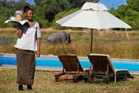 A waitress serves iced tea to tourists arriving at the camp safari Khwai River Lodge by Orient Express in Botswana, within the Moremi Game Reserve Wild. Khwai River Lodge is situated on the banks of the Khwai River, adjacent to the Moremi Game Reserve in Botswana. The Okavango River is a long African river, which rises in the plateau of Bie, Angola, in a fairly rainy, and after a journey of almost 1,000 km enters a drainage basin, and in Botswana, where he has been an extensive alluvial region improperly named and known throughout the world as the Okavango Delta. As leads to an area with a very arid climate, it is an allochthonous river, such as the Nile River in Egypt, or the Niger River in Mali. The best time to visit the delta depends on what you want to see. If you are looking for are large animals, the best period is between May and October, when the water recedes and those are concentrated around water. If you want to see are birds and lush vegetation, the best time is between November and April, the rainy season. Okavango Lions are famous for their size and strength, and it is said they are the only swimmers lions there. You can also see elephants, very numerous in the Okavango, martial eagles, zebras, common fish owl, etc.