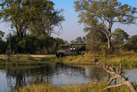 Typical landscape flooded Okavango Delta Khwai River camp near Lodge of Orient Express in Botswana, within the Moremi Game Reserve Wild. Undoubtedly, the Okavango Delta, is the exception to all rules. This is the only marshland around the world that flows into the sea, it is installed in the middle of the Kalahari Desert. It occupies about 15,000 square kilometers in northern Botswana and hosts a nature reserves and stunning richest in Africa. With these peculiar characteristics can already imagine that here you can see, live and direct, flora and fauna most unusual and fascinating continent. Get ready for Africa in its purest form. The natural habitat of the delta is formed by a great diversity of plant and animal species, highlighting a variety of fish and birds of all colors, among which the Martial Eagle. The bird avistadotes will not be enough ... Hiding from the delta, we can find: hippos, crocodiles, impalas, zebras, elephants, buffalo, wild boar .... But one of the main attractions of this area is that you can see the big 5 mammals, the famous big five: lion, leopard, elephant, rhino and buffalo. It is said that the lions that live here, are the only swimmers. They have been able to adapt to the change in water level for hunting antelopes and impalas survive and not starve. There are different ways of knowing the delta, the choice will depend on your tastes and preferences. It will take you walking safaris, boat or mokoro. Perhaps the most special way to do this is with mokoros, a kind of wooden canoes used by the locals to scroll through the channels. They usually have room for two people, and the lead hand. Being a silent transport, will allow you to get closer to the local animals. The best time to visit the delta is a function of what you want to see. The rainy Okavango Delta is between November and April. It is the best time for birding and vegetation explosive show in every corner.