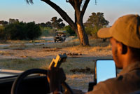 One of the guides in the 4x4 which made safaris in the Okavango Delta Khwai River camp near Lodge of Orient Express in Botswana, within the Moremi Game Reserve Wild. Botswana. Although only part of the Delta, Moremi Game Reserve is a protected area, an oasis in the desert is one of the largest enclaves of the continent of wild life and in turn is the main attraction of the country. No tourists not to travel to Botswana and not go through this natural jewel Delta is a very unusual case of what a delta, since unlike the vast majority this does not lead to the sea. In fact, rather than a delta, we should be talking about an alluvial fan which is divided into four different regions: Eastern Delta: this is the area with better accessibility and also the cheapest compared to Moremi Reserve and the interior Delta. This area includes the wetlands between the southern end of the Moremi Reserve and the "buffalo fence" that includes Boron and Santandadibe rivers. The best way to access this area is via Maun in mokoro (traditional canoe is usually made with ebony or African Kigelia, although lately built predominantly fiberglass) or 4x4 with camping. Shelters and Maun agencies usually organize mokoro cruises in this region of the delta.