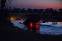A 4x4 cross a flooded areas during the night safari that Orient Express performs at Camp Khwai River Lodge by Orient Express in Botswana , within the Moremi Game Wildlife Reserve , Botswana. Night Safari by Linyati swamps Browse this part of the Chobe National Park after dark is a luxury . With the rules in this area are not as strict as in other national preserves can drive when there is no light and stopping to admire the animal life around the marshes. The elephants , lions and cheetahs are just some of the neighbors Linyati waters . It is an experience that will not disappoint. In Botswana there is the second largest migratory movement of zebras in Africa. More than 25,000 individuals move 2 times a year in search of fresh pasture water. Between March and April start their route from the north to the Makgadikgadi region , that after the summer rains explodes in greenery, water and pasture. Here they remain until the months of September and October , and return north , towards Chobe and Moremi , on November.
