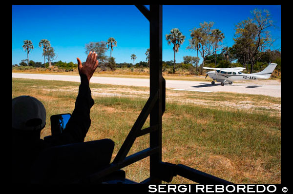 Aerodrome near Eagle Island Camp camp camp Orient Express, outside the Moremi Game Reserve in Botswana. One of the guides says goodbye Orient Express tourists. Natrural Moremi Reserve. The Moremi Game Reserve is a sanctuary of rich and diverse wildlife, covering the Okavango Delta. The reserve is not fenced and boundaries are defined naturally by the river systems it becomes an essential area to visit on the trip to Botswana. The vegetation is varied, supplemented with dry earth permanent and seasonal wetlands, which is excellent for both wildlife and birds. There is a whole network of hiking safari through the reserve, as well as access to permanent water courses in the delta, where you can enjoy canoeing Xakanaxa (not available in cottages in the Khwai area). It is today the only air travel really Botswana Protected since 1963, was declared as Reserved, due to the rapid decline of wildlife in the area, and in view of the rapid disappearance of wildlife, woman Chief Moremi III, decided to preserve the area by declaring a national reserve. Moremi is one of the best game reserves in Africa to see the African wild dog endangered. Xakanaxa is home to a herd of buffalo hundreds of residents whose range covers the territories of at least 4 prides of lions that can often be seen as accompanying the ever moving herd in which the panels should observe in Botswana travel. The elephant breeding herds move between their browsing areas in the mopane forests and fresh water from the Okavango. Red lechwe are one of the more unusual antelope species commonly found here. Although the Reserve is the only part of the Okavango Delta that is legally protected, it is surrounded by an area wildlife management which is carefully controlled. The book itself is not fenced, allowing the free movement of animals according to seasonal migrations. Moremi now extends east and north to join the Chobe National Park, ensuring a continuous area of ??land protected up to Kasane. It is the first reserve established by local, by the people of Ngamiland Batawana. With a variety of colors in an area of ??over 3900 km square, whither delta channels, ponds, salt marshes, forests, etc.., Being the place of residence of many migratory animals and other endangered. Following the introduction of Black and White Rhinoceros, turned to become the home of the Big 5
