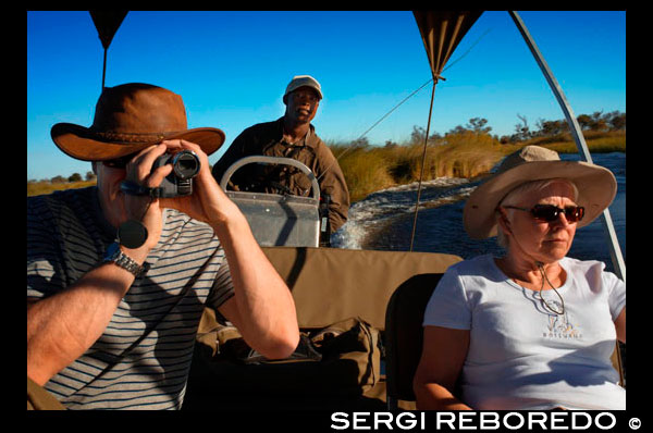 A couple of tourists enjoy a boat safari from Camp Eagle Island Camp by Orient Express , outside the Moremi Game Reserve in Botswana . Moremi Crossing is located in the southernmost part of Chief's Island, a small island full of palm trees and different trees , called Ntswi . This island is surrounded by the rich alluvial plains of Moremi . Access is by plane , after a short scenic flight from Maun for about 20 minutes. During this fascinating scenic flight over the Okavango Delta , enjoy the exciting drawings created meandering waterways and contrasting colors with land areas that rise above the waters of the Delta . In the north of the Okavango Delta waters flowing quickly and the view is limited by the high reeds and papyrus growing on the edge of the channels. In the area south of the Delta, around MOREMI CROSSING, enjoying sweeping views of the floodplains of the Moremi Reserve