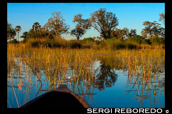 Landscape photographed from a boat during aquatic safari mokoro canoe made starting from mokoro call Eagle Island Camp by Orient Express Camp, outside the Moremi Game Reserve in Botswana. Before starting, safety measures in case of an unwanted encounter with hippos, buffaloes, lions ... Our local guide that we followed in James to single file, stopping to explain each fingerprint, every bone, every turd and every path were finding. It was like slowly sweep the ground in search of our prey. At the safari we saw a variety of animals, since in those rainy months are scattered remote areas. Oddly enough, the Okavango Delta level is low during the summer rainy season and high in the dry winter. This is because the mass of water drained from the delta, arriving from Angola about six months after he had fallen. That is, water that is raining in the mountains of that country during November to March takes the time to travel the 1,000 km due to the unevenness of only 60m. Before starting the 2 hour hike we saw a fire at a nearby island that would accompany us during the three days. We arrived at the camp with the sun already set, time that hippos began their activity. Dinner was better but still, with food not play. Although our 3 guides told us that the fire could not reach because it separates a channel, I was not all me to sleep peacefully. I would have about 500 meters and at night you could hear burn as if on the same side. Being completely covered channels of vegetation, giving the feeling of uneasiness, that there was no separation between that area and our own. On Monday, following the advice of our guide-leader, we got up at 5:30 am for some breakfast and go to the mokoro to another place, where we would do the next safari. This was the safari which justified the money spent. It lasted four hours and saw zebras, wildebeest, elephants, a group of over 20 giraffes, hippos, ... and so on foot, with no barrier between animals and us. The only bad thing was the intense heat that made those three days, it was horrible. At the turn of safari, James left the leadership to his two young apprentices, who were we also chanting the name of all that is moving our way. Must see as animal life, the less we can be dangerous for them to walk, the more scared and keep their distance. We smelled and remained with her until she ran to get away. But just going with zebras that huge group of giraffes. It also indicates that they are accustomed to vehicles used for safaris. But the feeling of walking in silence and without any motor vehicle is not paid with money. The hike was about 4 hours and during it we went through small sections burned by the fire we saw yesterday and we still looked burn at close range. We returned to camp for lunch and then I began to take a nap. About 17h hopped back into the mokoros to see the sunset between the channels, from the water. Very nice sunset, though I could not place my tripod anywhere or stand up to any photos. At night we could enjoy various kinds of natural lighting. On the one hand, and no light pollution the beautiful sky with its well marked Milky Way and Jupiter, on the other a lot of small insects that emit a flashing light either while flying or standing, also the glow of the fire and finally a storm in the distance. On Tuesday at the same time and after breakfast standing up. This time we started the short walk without using mokora, Nearby the first day. As I supposed, saw fewer animals. A pair of elephants solitary and a group of four hippos in a small lake as highlights. About 9:30 am we were back at camp, too much down time doing nothing. While on one side and I was glad, because the weather was hot without water reserves, better to be chatting or thrown at the store. At 14h and we had it picked up and we were starting back to the Boro season. The trip was somewhat shorter downstream as we would. The hostel guy had the very great idea to bring a cooler with cold drink. So I had a beer with Marcelo back to the hostel and a storm that accompanied us on the last leg. I had to wait, once already in the hostel, to abate the storm to start reassembling the store. At night also dropped some rain, but luckily did not get to test my store Made in China. I did also avoid it, as I always wanted a place covered by a tree and if possible with a little slope. As for the mattress, fully engaged to him, but every night I had to inflate to put up with the hours of sleep. Diana and Chris told me about their visit prior to the Okavango Delta to a salt desert located between Maun and Kasane, specifically had to stop at Nata. This place known as the Makgadikgadi Pans (pan) is located within the national park called Makgadikgadi & Nxai National Park.