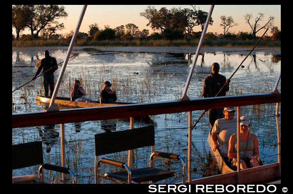 Safari acuático efectuado en mokoros en el Delta del Okavango partiendo desde el campamento Eagle Island Camp de Orient Express, en las afueras de la Reserva de Animales de Moremi, en Botswana. La acampada libre en mitad del Delta del Okavango es una experiencia increíble. Te permite estar en contacto con la naturaleza y nos permitió ver uno de los atardeceres más increíbles de nuestro viaje por África del Sur. Lo especial de este atardecer fue que lo vimos desde un mokoro en mitad de las tranquilas y transparentes aguas del delta del Okavango en Botswana.El mokoro (mocoro o makoro canoes)  es una piragua o canoa que originalmente se hacía de madera de ébano, aunque en la actualidad son de fibra de vidrio. Normalmente va conducida por un guía (poler) que las conduce con una pértiga. Tiene además capacidad para dos pasajeros y el material de apoyo para la noche en el campamento. En nuestro caso nos sentábamos sobre las colchonetas que luego nos sirvieron para dormir. Consejo: si tenéis la oportunidad de elegir es importante que el poler hable al menos un poco de inglés y que sea joven y con ganas de comunicarse. Nuestra experiencia con esta gente fue francamente muy buena, por la noche junto al fuego estuvieron contando historias y compartiendo la cena con nosotros en una isla en el delta del Okawango.¿Cómo llegamos? Salimos en avión desde el Aeropuerto de Maum, para ir al aeropuerto o mejor descrita la pista de aterrizaje de Sepupa. Desde ahí en camión hasta llegar a las orillas del río para coger el mokoro. No tengo palabras para describir lo que significa sobrevolar el delta interior más grande del planeta, pero las pocas que pude encontrar ya las use en el artículo Sobrevolar el Delta del Okavango. Lo impresionante del mokoro es la tranquilidad que se respira y el silencio que permite acercarse y ver animales salvajes, nosotros vimos hipopótamos, elefantes, águilas… pero lo mejor de ese día fue la puesta de sol. Como íbamos a dormir en una isla en tiendas de campaña en mitad del río, no necesitábamos volver pronto para continuar la ruta por el río perdido, así que nos pudimos quedar hasta ver la puesta de sol. En lugar de describirla os dejo algunas fotos que hablan por ellas mismas.Baño en el río. Las aguas son cristalinas y en los lugares con corriente parece que no es peligroso bañarse, siempre que los guías o polers lo autoricen. Yo no me bañe por la posibilidad de coger coccidios (un parásito local). Suelen estar en aguas estancadas, y principalmente en el río Zambece. Algún amigo si que se baño y si volviera me bañaría, porque no lo hice allí por precaución pero una semana después haciendo rafting extremo en el río Zambeze volqué en más de 14 ocasiones, y creo que me tragué tanta agua que contribuí al secado del delta.