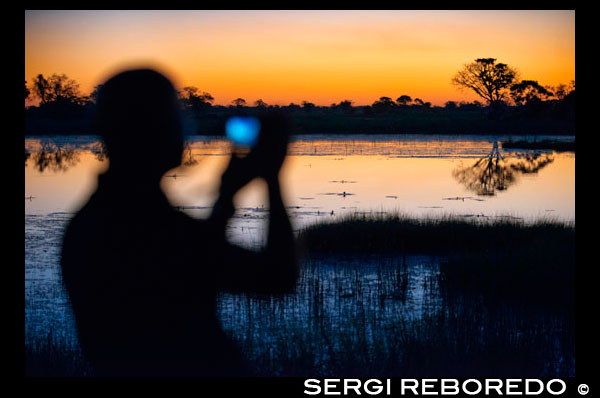 A man with binoculars enjoy the best sunsets in the Okavango Delta Fish Eagle Bar Camp Eagle Island Camp by Orient Express, outside the Moremi Game Reserve in Botswana. At Eagle Island will have one of the most unforgettable experiences: a safari boat. The nature as you have never imagined: hippos swimming in the water, crocodiles relaxed in the sun, herds of lions with their pups ... in short, a host of wildlife from the water. In the Delta will find more than a thousand species of animals including giraffes, leopards and elephants that will make your photos the envy of more than one. Finish the day with the sun, relaxing at the Fish Eagle Bar, one of the world's most romantic bars. Botswana is considered as one of the best kept secrets beauties and Africa. It is a natural wonder for his prodigious wildlife and variety of species thanks to its people and government are fully committed to safeguarding and protecting this natural treasure. That is why it has become a destination for safaris par excellence, where Big Five are the main stars of the show with some wonderful backdrop scenarios will not forget. A new opportunity to enjoy Botswana from the air to reach the semi-arid Savute in the Chobe National Park. At the heart of the park, considered the world capital of elephants, is the Savute, an area that personifies the eternal contrast of Africa. The Savute Elephant Camp is ideally located for its proximity to the river and found a few meters from a trough with stunning views that facilitate you enjoy wildlife without leaving the camp. The camp is located on the banks of the Savute Channel, offering a spectacular view of the elephants in their natural habitat. The camp bar Eagle Island Camp in the Okavango Delta is one of the most romantic in the world according to The New York Times. The bar is called Fish Eagle (Osprey) and is a sober, large wicker chairs, overstuffed cushions, African crafts and sturdy wooden bar behind which looms a splendid collection of bottles of whiskey and you receive every time you come back from a safari with a splendid welcome cocktail and a wonderful tapas.