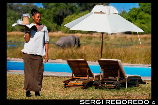 A waitress serves iced tea to tourists arriving at the camp safari Khwai River Lodge by Orient Express in Botswana, within the Moremi Game Reserve Wild. Khwai River Lodge is situated on the banks of the Khwai River, adjacent to the Moremi Game Reserve in Botswana. The Okavango River is a long African river, which rises in the plateau of Bie, Angola, in a fairly rainy, and after a journey of almost 1,000 km enters a drainage basin, and in Botswana, where he has been an extensive alluvial region improperly named and known throughout the world as the Okavango Delta. As leads to an area with a very arid climate, it is an allochthonous river, such as the Nile River in Egypt, or the Niger River in Mali. The best time to visit the delta depends on what you want to see. If you are looking for are large animals, the best period is between May and October, when the water recedes and those are concentrated around water. If you want to see are birds and lush vegetation, the best time is between November and April, the rainy season. Okavango Lions are famous for their size and strength, and it is said they are the only swimmers lions there. You can also see elephants, very numerous in the Okavango, martial eagles, zebras, common fish owl, etc.. The Botswana government's intention is to avoid mass tourism on the fragile ecosystem of the park, and therefore stay and accommodation within the park are very expensive. For this reason this volunteer program is a fantastic opportunity to visit the area while working on the reconstruction of the primary school in the area. The main tasks of the volunteers will be general maintenance and painting facilities for children in the area can attend a decent school. Part of the cost of the program is devoted to the purchase of the necessary materials. They work five days a week, 8 am to 5 pm, having two days off in which you can explore the Okavango Delta, watching wildlife and even go fishing in one of the world's most amazing places.