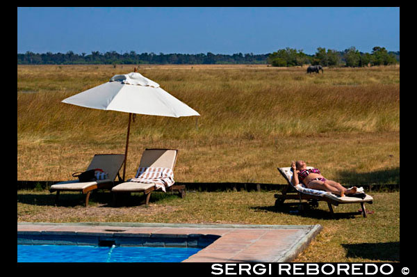 A tourist sunbathes in a swimsuit poolside at Camp Khwai River Lodge by Orient Express in Botswana, within the Moremi Game Reserve Wild. Khwai River Lodge is situated on the banks of the Khwai River, adjacent to the Moremi Game Reserve and the Okavango Delta outside. On its banks and wetlands inhabited by numerous species, hippos, elephants, lions, leopards, antelopes and abundant species of birds-just a few meters from the camps, open laterally through the dining room and from the lawn overlooking the pool. The camp has 15 luxury tents magnificent, suite with copper bath Victorian style outdoor shower, private pool and a secluded terrace. Each store has a shaded area with a hammock and comfortable chairs overlooking the Khwai River and its abundant wildlife. Equipped with all modern amenities, including mini-bar and ventilation-air conditioning shops were decorated by the famous designer Graham Viney. When descending the plane to the Khwai River Lodge, guests enjoy an aerial view of the three ecosystems discovered in the Orient-Express Safaris: a mixture of greenery along the river, the water and the dry and dusty savanna. Khwai River Lodge offers safaris 4X4 Car sighting in the morning and late afternoon. It is also possible to make excursions under the floodlights and even walk at dusk to observe animals.