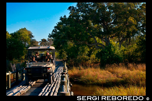 One of the bridges near the gateway to the Okavango Delta Khwai River camp near Lodge of Orient Express in Botswana, within the Moremi Game Reserve Wild. Botswana. In the 19th century, hostilities between Tswana inhabitants of Botswana and Ndebele tribes who were migrating into the territory from the Kalahari Desert. Tensions also escalated with the Boer settlers from the Transvaal. After appeals by the Batswana leaders Khama III, Bathoen Sebele and assistance, the British Government on March 31, 1885 put "Bechuanaland" under its protection. The northern territory remained under direct administration as the Bechuanaland Protectorate and is today's Botswana, while the southern territory became part of the Cape Colony and is now part of the northwest province of South Africa, speaking majority Setswana people live in South Africa. When the Union of South Africa was formed in 1910 of the main British colonies in the region, the Bechuanaland Protectorate, Basutoland (now Lesotho) and Swaziland (the "High Commission Overseas Territories") were not included, but provision is made for their later incorporation. However, a vague undertaking was given to consult their inhabitants, and although successive South African governments sought to have the territories transferred, Britain kept delaying, and it never occurred. The election of the National Party government in 1948, which instituted apartheid, and South Africa's withdrawal from the Commonwealth in 1961, ended any prospect of incorporation of the territories into South Africa. An expansion of British central authority and the evolution of tribal government resulted in the 1920 establishment of two advisory councils representing Africans and Europeans. Proclamations in 1934 regularized tribal and state powers. A European and African advisory council was formed in 1951, and the 1961 constitution established a consultative legislative council. In June 1964, Britain accepted proposals for democratic self-government in Botswana. The seat of government was moved from Mafikeng in South Africa, recently created to Gaborone in 1965. The 1965 constitution led to the first general elections and to independence on September 30, 1966. Seretse Khama, a leader in the independence movement and the legitimate claimant to the Ngwato chiefship, was elected as the first president re-elected twice, and died in office in 1980. The presidency passed to the sitting vice president, Quett Masire, who was elected in his own right in 1984 and reelected in 1989 and 1994. Masire retired from office in 1998. The presidency passed to the sitting vice president, Festus Mogae, who was elected in his own right in 1999 and reelected in 2004. The next president is Lieutenant General Seretse Khama Ian Khama from 2008 and before the elections in 2009. He is the son of the first President of Botswana and is also the former leader of the army of Botswana (BDF)