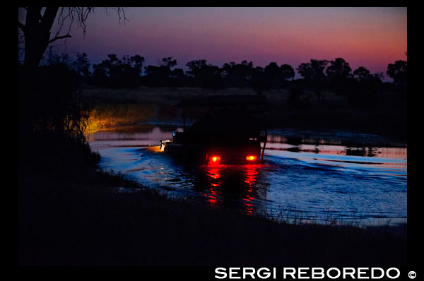 A 4x4 cross a flooded areas during the night safari that Orient Express performs at Camp Khwai River Lodge by Orient Express in Botswana , within the Moremi Game Wildlife Reserve , Botswana. Night Safari by Linyati swamps Browse this part of the Chobe National Park after dark is a luxury . With the rules in this area are not as strict as in other national preserves can drive when there is no light and stopping to admire the animal life around the marshes. The elephants , lions and cheetahs are just some of the neighbors Linyati waters . It is an experience that will not disappoint. In Botswana there is the second largest migratory movement of zebras in Africa. More than 25,000 individuals move 2 times a year in search of fresh pasture water. Between March and April start their route from the north to the Makgadikgadi region , that after the summer rains explodes in greenery, water and pasture. Here they remain until the months of September and October , and return north , towards Chobe and Moremi , on November. During this route , which runs all regions traversing this Great Migration , the chances of finding it are very high.