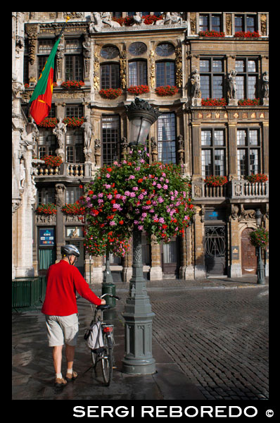 A cyclist and background buildings Louve, Sac and Brouette. Grand Place. The Louve, Sac and Brouette are a group of houses that were rebuilt in 1695, when the rest of the buildings in the Grand Place is renewed. Due to the conservation of their facades, are considered the most beautiful buildings in the Grand Place. RED BELGIAN CYCLIST.