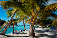 Aitutaki. Cook Island. Polynesia. South Pacific Ocean. Some tourists take a sun bath on the beach of Aitutaki Lagoon Resort & Spa Hotel. One big playground just outside your door. For families Aitutaki is really one big playground just outside the door of your accommodation. It is also very safe. Children, young and older, can spend hours enjoying the lagoon - above and below water - while they are swimming, kayaking, snorkelling and sailing. Back on land you can explore on bicycles, hike around some of the inland trails, go beachcombing and take a four-wheel drive safari. The pace of life is gentle here, there is only one television channel (unless you are staying somewhere with Sky satellite televison), and shopping is limited to the basics and some local crafts. Clams at the Research Centre. The Aitutaki Marine Research Centre is an interesting visit for all the family. Their projects include farming giant clams that are later moved to the lagoon and to aquariums overseas. There are also baby sea turtles. The research centre is open weekdays and will do tours. Several lagoon trips include a stop around the clams that have been relocated into the lagoon, and it is interesting to compare their beginnings back at the research station with their growth out in the lagoon If you go snorkelling with one of the boat tours you will also see some of the mature giant clams (Tridacnidae gigas) out in the lagoon. 