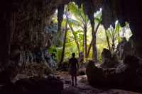 Atiu Island. Cook Island. Polynesia. South Pacific Ocean. Inside the impressive Kopeka Birds Caves in Atiu.  Cave tours are available to many coral limestone caves. All are spectacular and we list the most visited here. There are many others. If you are into caves you could easily spend all of your time on Atiu underground. The caves of Atiu show obvious signs of being caved out by the fresh water that flows off the volcanic acidic soil of Atiu and through the Makatea. With each change in sea level, tunnels are carved out at that level to allow the fresh water though. A present day example of this is the Tiroto Tunnel. There is another tunnel like this in Tengatangi district that can only be accessed from the sea. The caves listed here are caves that were carved out when the sea level was higher. Anataketake cave in particular is the home of the kopeka. A bird unique to Atiu, which is able to echo-locate in the dark cave to find its nest. Tiroto Tunnel connects Atiu's lake to the sea. It is possible to wade down this tunnel almost to the sea. The last part of the tunnel is underwater. You can tell you are close to the sea because the flow moves backwards and forwards with the wave action and because there is clean white sand underfoot. Wading this tunnel is an adventure. It is sometimes called the mud tunnel. Rima Rau burial cave is worth a visit. 'Rima' is five and 'Rau' is two hundred in the Atiu language. So Rima Rau means one thousand dead. This must be an exaggeration. It is more likely to be 50. There are many legends about who's bones lie in the cave. One legend tells of a famous battle, another a of cannibal feast, and yet another a story of revenge. Ask your guide or host to tell the stories.