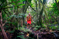 Rarotonga Island. Cook Island. Polynesia. South Pacific Ocean. Mr Pa, the most popular guide in Rarotonga. One of the Cook Islands more colourful characters will take you on a magical four hour tour of the island, learning about its myths and legends and native herbal lore. Join Pa as he takes a guided walking and hiking tour of the lush interior of Rarotonga. Learn about the local medicinal plants used by his ancestors. Referred to by many publications as ‘the South Pacific’s most famous experienced guide’, Pa will recite stories of wars, famines and great migrations as passed on to him by his forefathers. Join him at the summit of the famous needle and enjoy the views from this vantage point, then trek down to the waterfall and journey through to the western coast. This is a great all-day excursion. Pa is well versed in Cook Islands culture and history and his tours are very interesting. There is some vigorous walking and climbing involved and you will need sturdy walking shoes and to be reasonably fit. Take insect repellent and don’t forget your camera, there are some amazing views and stunning scenery. The tour includes : Transfers and light lunch. The views and stories make this a wonderful experience.(4hrs)