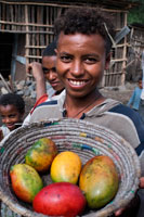 A farmer sells mangoes just collect on the road to Mekele Wukro. For most of the population of Wukro and surrounding areas, rainfed agriculture is their main subsistence livelihood. However, Wukro and surroundings often suffer droughts that have serious consequences for the living conditions of the rural population. The migration from rural to urban areas during these periods is high. Recently, Wukro is rapidly expanding into the southwest part of the city which is evident in the various residential construction being carried out inside and outside the city.