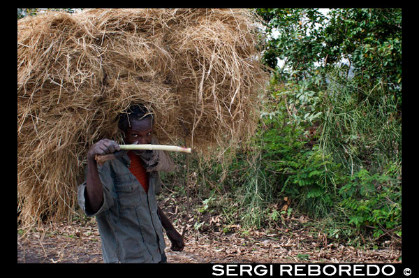 A farmer transports the straw that has reaped the road from Wukro to Mekele. Wukro and Wukro Cherkos. Wukro is a mid-size city located between Adigrat and Mekele and convenient as a center from which to explore this rich and fascinating part of Tigray. His church carved into the rock Wukro Cherkos is definitely the most accessible of Tigray and one of the most impressive, although not as monolithic. The capital of Mekele Tigray, Mekele has been described by a recent guide on Ethiopia (1995), as the city "smarter and faster development" across the country. The main attractions are the market, where traders may be bringing camel salt bars from the Danakil Desert, the museum of Yohannes IV, and rarely Chekelot village green (17 Km south of Mekele) with his church Selassie.