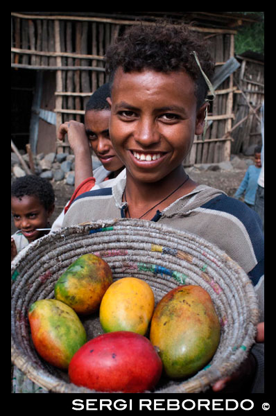 A farmer sells mangoes just collect on the road to Mekele Wukro. For most of the population of Wukro and surrounding areas, rainfed agriculture is their main subsistence livelihood. However, Wukro and surroundings often suffer droughts that have serious consequences for the living conditions of the rural population. The migration from rural to urban areas during these periods is high. Recently, Wukro is rapidly expanding into the southwest part of the city which is evident in the various residential construction being carried out inside and outside the city. The increase in residential construction and modern commercial buildings such as hotels, cafes and shops, offers revenue opportunities for skilled and unskilled workers in this sector.
