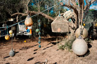 Formentera. Fishing instruments with nets longlines buoy tackle in foreground hangin in a tree at Formentera, Balearic Island, Spain. Mediterranean sea. Formentera Balearic Islands fishing tackle nets longliner trawler trammel. 