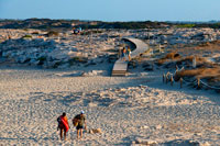 Formentera. Sa Roqueta Beach and Ses Illetes Beach, Balearic Islands, Formentera, Spain. Couples walking in the sand. 