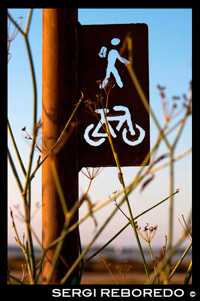Cycle route sign. Pudent Lake. Formentera. Balearic Islands, Spain, Europe.  Spain; Formentera; Pudent; lake; sign; signs; active; routes; travel; nobody; sunset; cycle; bike; bicycle; island; baleares; balearic; bicycle; countryside; active; cycle; direct; direction; directions; es; estany; formentera; francesc; free; hike; hiking; holiday; ibiza; indicate; island; islas; la; lagoon; lake; natural; path; paths; point; pointing; pudent; pujols; ramble; route; sant; savina; sign; spain; time; tourism; tourist; vacation; walk; walking; way; Baleares; atrraction; destination; Europe; European; holiday; travel; islands; mediterranean; photos; place; spanish; sun; tourism; touristic; vacation; view; Balearics; beautiful; beauty; paradise; fun; happy; coastal; paradisiac; popular