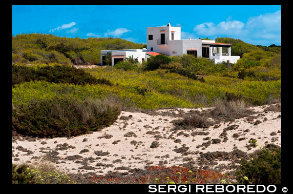 Typical white house of Formentera. Migjorn beach, Formentera island, Balears Islands, Spain.  Spain; Formentera; island; typical; house; houses; Migjorn; rustic; beach; dunes; dry; white; aged; ancient; architecture; art; balearic; bars; blue; mansion; hamlet; homestead; land; building; buildings; coast; construction; country; door; environment; europe; fan; farm; formentera; holiday; home; house; ibiza; islands; landscape; masonry; mediterranean; nature; old; retro; rock; rural; rustic; spain; stone; street; style; texture; tile; tourism; town; traditional; travel; typical; view; village; wall; white; window; windows; wooden; yellow; balearic; Baleares; atrraction; destination; Europe; European; holiday; travel; islands; mediterranean; photos; place; spanish; sun; tourism; touristic; vacation; view; Balearics; beautiful; beauty; paradise; fun; happy; coastal; paradisiac; popular
