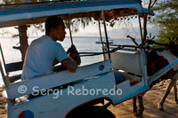 On the island of Gili Meno no motorized transport and the only means to move from side to side of the island are cycling and horse-drawn carts. It is customary to tour the island in these wagons. 