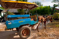 On the island of Gili Meno no motorized transport and the only means to move from side to side of the island are cycling and horse-drawn carts. It is customary to tour the island in these wagons.