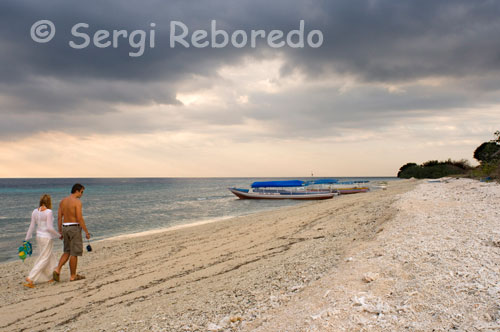 Una pareja pasea por la arena de la playa de la zona Oeste de la isla, cerca del embarcadero del Bounty Resort. Gili Meno. Hay más de 3.500 especies marinas viviendo en los arrecifes de Indonesia. En comparación con la Gran barrera de coral en Australia (1.500) y el Mar Rojo (600), el 25% de arrecifes del mundo están en Indonesia. Sus muchas paredes, plataformas y grietas alrededor de las Islas Gili reflejan un buen ejemplo de lo que Indonesia tiene que ofrecer. Sumérjase y déjese fascinar por la gran variedad de tortugas, tiburones puntas blancas de arrecife, calamares, Morenas, Peces ángel, Peces pipa, Pargos, Mantas, Rayas águilas, y más.  Todos nuestros puntos de inmersión están situados entre 10 y 25 minutos en barco desde el centro de buceo. Esto quiere decir que si usted quiere salir a bucear pasará más tiempo debajo del agua que en el barco. Los barcos de Trawangan Dive, salen directamente desde la playa enfrente del centro de buceo y regresa al mismo centro después de las inmersiones, es fácil, rápido y simple.  Alrededor de las Islas Gili (Gili Air, Gili Meno, Gili Trawangan) se encuentran más de 20 puntos de inmersión además de que siempre hay nuevos arrecifes siendo explorados. 