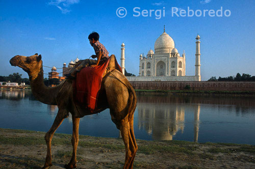 INDIA CRUZANDO EL RIO GANGES camello y un niño indio junto al río en el Taj Mahal en Agra. Un niño indio con sus paseos en camello a orillas del río Yamuna en el Taj Mahal en el fondo. Visitar el destino más famoso de la India, el Taj Mahal en Agra, Uttar Pradesh. El Taj Mahal fue encargado por Shah Jahan como un mausoleo para su tercera esposa, que murió en 1631. Iniciado en 1632 y completado en 1653, el Taj Mahal es un Patrimonio de la Humanidad y considerada una de las ocho maravillas del mundo.