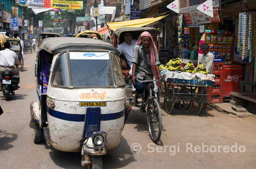INDIA CRUZANDO EL RIO GANGES Varanasi es la ciudad más caótica que jamás he visto. Las vacas, rickshaws de bicicleta; autorickshaws, un toro, desborda los mercados callejeros y el mono de vez en cuando todos luchan por su poco de espacio a medida que vaya sobre su día. En retrospectiva, estoy muy contento de haber esperado hasta el final del viaje para ver a Varanasi, porque no creo que pueda haber manejado cuando llegué por primera vez. Tratar con la enorme masa de la humanidad y la locura en Varanasi, sin experiencia previa en la India habría sido demasiado. Incluso con el caos y la confusión, me gustaba explorar las calles zumbido y tomar algunos retratos de los muchos personajes interesantes que encontré. Esta galería de fotos cubre los aspectos más destacados de varios días y las noches locas en una de la India (y del mundo), las ciudades más antiguas y más sagrado.
