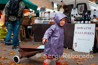 A girl helps her parents to buy in the market on Saturday morning at the Boulevard Arceaux. The restaurants are characterized by the specialties of the variety of products found in Languedoc, evoking the fine French cuisine, superb wines and delicious seafood that reflect the seasons. Being Languedoc region in the world's largest wine harvest, there are excellent wines to discover and prove. These restaurants are located in the historic city center, on the outskirts of Montpellier and along the coast. In Montpellier, you can try local produce, cheeses and wines in the morning market in Les Arceaux under the aqueduct. During the spring and summer there are a number of traditional events, cultural and artistic organized in Montpellier and other cities in the region. Throughout the year, there are shows, trade shows, parties, concerts and exhibitions. The summer festival season offers, such as Radio France Festival in Montpellier, Avignon festival, fairs (Spanish celebrations, such as bullfighting, etc ...) of Nîmes and Béziers and film shows outdoors. Montpellier has an excellent climate with summers that last until late October. While during the Christmas season are held many cultural events (fi markets traditional Provencal Christmas games, corals, Christmas exhibition of figures, etc ...). With 60,000 students of its 350,000 inhabitants, Montpellier is the most popular student city. It is home to one of the oldest medical schools in France, dating from the thirteenth century and the most vibrant nightlife in the Midi. With many music pubs to choose from, and about thirty clubs, here you can find music preferences in crowded places. There are also numerous cinemas, theaters, two operas and four concert halls in the city to promote other entertainment interests.