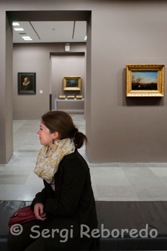 A tourist looks at the prestigious art gallery that is exposed at the Musée Fabre in Montpellier Agglomeration. The French city of Montpellier, Languedoc administrative capital, noted for its long cultural and historical tradition. Among its museums, is known as Fabre, which houses an important collection of paintings, and which dates back to the nineteenth century, when it began as a modest municipal museum with thirty works to his credit. In 1825, a painter from the region, François-Xavier Fabre, Prix de Rome in 1787, donated a lot of ancient and modern paintings, prints and drawings, making the Museum an important reference art collection. Over time, the Fabre Museum has been enriched with the largest number of works, and today is in transition and study, because it has a heritage of 1,800 paintings, 300 sculptures, 1,200 art objects and more than 4,000 drawings , all belonging to a period from the Renaissance to the actual.Hasta the 5th of June, and thanks to the BBVA organization, you can enjoy in Madrid (Palacio Marqués de Salamanca, Paseo de Recoletos, 10) of a selection of works from the museum, under the supervision of the director, Michel Hilaire, and Professor John J. Moon. Also, from June 15 to July 24, the exhibition will be open in the Exhibition Hall of the BBVA (Church St. Nicholas) in Bilbao.