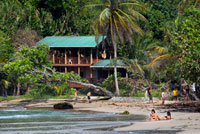 Tourists in Red Frog Beach. Bocas del Toro. Panama. About a 10 minute boat ride from Bocas town gets you to the Red Frog Marina, from where a 15 minute hike across the narrowest point of Bastimentos Island allows you to reach Red Frog Beach. With 0.75 miles of white and golden sand, Red Frog Beach is one of the most popular beaches in Bocas del Toro. The north shore of Bastimentos Island hosts some of Bocas' most beautiful beaches and Red Frog is one of the more accessible ones, and the only one with a few facilities such as a couple of restaurants