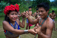 Music and dancing in the village of the Native Indian Embera Tribe, Embera Village, Panama. Panama Embera people Indian Village Indigenous Indio indios natives Native americans locals local Parque National Chagres. Embera Drua. Embera Drua is located on the Upper Chagres River. A dam built on the river in 1924 produced Lake Alajuela, the main water supply to the Panama Canal. The village is four miles upriver from the lake, and encircled by a 129.000 hectare National Park of primary tropical rainforest. Lake Alajuela can be accessed by bus and mini-van from the city of Panama. It lies an hour from the city, close to the town of Las Cumbres.