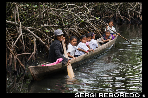 Un dels vaixells locals utilitzats pels indis Ngobe com el seu principal mitjà de transport, a l'abric sota un improvisat cobert. Canal d'entrada a la Comarca Ngobe Bugle Indian Village Of Salt Creek prop de Bocas Del Toro Panamà. Salt Creek (en espanyol: Trencada Sal) és un poble Ngobe Buglé es troba a l'extrem sud-est de l'illa de Bastimentos, a Bocas del Toro Archipelago, Província i Districte de Panamà. La comunitat es compon d'unes 60 cases, una escola primària, artesanies i botigues en general. Els vilatans depenen principalment de les seves canoes per a la pesca i el transport, encara que el poble s'està desenvolupant lentament juntament amb tot l'arxipèlag. Entre el Mar Carib, amb els seus manglars, esculls de corall i illes paradisíaques, i el dens bosc humit tropical de l'illa Bastimentos, es troba la comunitat Ngobe conegut com Salt Creek (Trencada Sal). Aquí, l'ALIATUR organització local (Salt Creek Turisme Alliance) ha creat un projecte perquè els visitants a l'arxipèlag de Boques del Toro poden arribar a conèixer la cultura d'aquesta comunitat indígena, les seves artesanies, els seus balls, i les seves històries. Les mesures adoptades per promoure la sostenibilitat Quatre senders ambientals o socials en els boscos dels voltants permeten al turista apreciar la rica fauna i flora de la regió. Allotjament i menjar típic de la zona s'ofereixen per al que vulgui visitar durant un o més dies a la comunitat de. En cas que això no sigui suficient, la proximitat community 's al Parc Nacional Marí Bastiments permet als turistes paguen una ràpida visita als meravellosos Cayos Sabatilla i per gaudir de les seves platges, esculls de corall, i el sender.