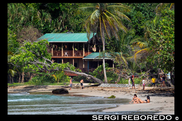 Tourists in Red Frog Beach. Bocas del Toro. Panama. About a 10 minute boat ride from Bocas town gets you to the Red Frog Marina, from where a 15 minute hike across the narrowest point of Bastimentos Island allows you to reach Red Frog Beach. With 0.75 miles of white and golden sand, Red Frog Beach is one of the most popular beaches in Bocas del Toro. The north shore of Bastimentos Island hosts some of Bocas' most beautiful beaches and Red Frog is one of the more accessible ones, and the only one with a few facilities such as a couple of restaurants and bathrooms. It receives its name from the poison-dart frogs that are abundant in Bastimentos' hills. If you're lucky enough you might encounter a three-toed sloth or some monkeys as well. Due to its ease of access many boat tours make Red Frog Beach their last stop during the day, providing you with a lively environment with travelers from all over the world (anything between 100 and 300 people). During low season, it is a lot quieter. If you happen to arrive to Red Frog and feel the need for more space to yourself you can always hike a bit to the east (Turtle Beach) or to the west in direction to Wizard Beach (Playa Primera), or simply go to another beach in Bocas del Toro with less people... there are loads of secluded beaches in Bocas.