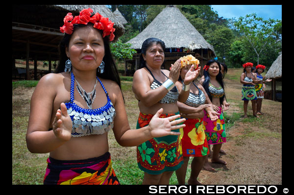 Music and dancing in the village of the Native Indian Embera Tribe, Embera Village, Panama. Panama Embera people Indian Village Indigenous Indio indios natives Native americans locals local Parque National Chagres. Embera Drua. Embera Drua is located on the Upper Chagres River. A dam built on the river in 1924 produced Lake Alajuela, the main water supply to the Panama Canal. The village is four miles upriver from the lake, and encircled by a 129.000 hectare National Park of primary tropical rainforest. Lake Alajuela can be accessed by bus and mini-van from the city of Panama. It lies an hour from the city, close to the town of Las Cumbres. From a spot called Puerto El Corotu (less a port than a muddy bank with a little store that serves as a dock to embark and disembark from canoes) on the shore of the lake, it takes 45 minutes to an hour to climb up the Rio Chagres to Embera Drua ina a motorized dugout. The village was founded in 1975 by Emilio Caisamo and his sons. They first called it community 2.60 as it was the name of the meteorological station constructed by the Panama Canal Commission located a little up river from the present community. The sons married and brought their wives to live in the community which later attracted more families. Most of the villagers moved out from the Darien Region--increasingly dangerous due to incursions by Colombian guerillas and drug traffickers--and to be closer to the city to have better access to its medical services and educational opportunities. In 1996, villagers adopted a name that reflects their identity and began to call their community Embera Drua. In 1998, the village totaled a population of 80. The social and political leadership of the village is divided between the Noko or village chief, the second chief, the secretary, the accountant and all the committees. Each committee has its president, and accountant, and sometimes a secretary. Embera Drua has a tourism committee that organizes itineraries and activities for groups of visitors and an artisans committee to assist artists in selling their intricate baskets and carvings. Such organization is a relatively new phenomenon but it is inspiring to see how the community has embraced it. The village of Embera Drua has its own NGO. Its goals are to support the village and promote tourism and its artisans. Thanks to their efforts, villagers of Embera Drua now own titles to their land. Their main goals are to assist the village in becoming economically self-sufficient. People from the village of Parara Puru lower down Chagres, have joined the NGO as well. If you would like to support their NGO, contact them directly.The climate is tropical with two distinct seasons. The rainy season lasts about seven months from April to October and the dry season is from November to March. The temperature is fairly constant during the year and varies from the high 80's (high 20's C) during mid-day to the 70's (low 20's C) at night. The landscape protects the village from the strong winter winds yet keeps it breezy enough that the village is almost free of biting insects.